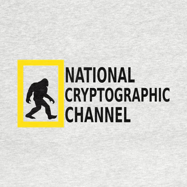 National Cryptographic Channel by ImNotThere